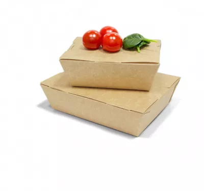 Бумажный контейнер оптом для доставки еды от компании SaaMi