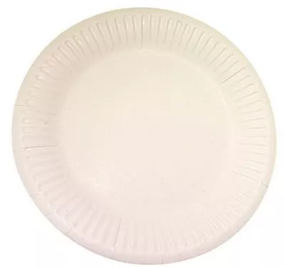 White Paper Plate 